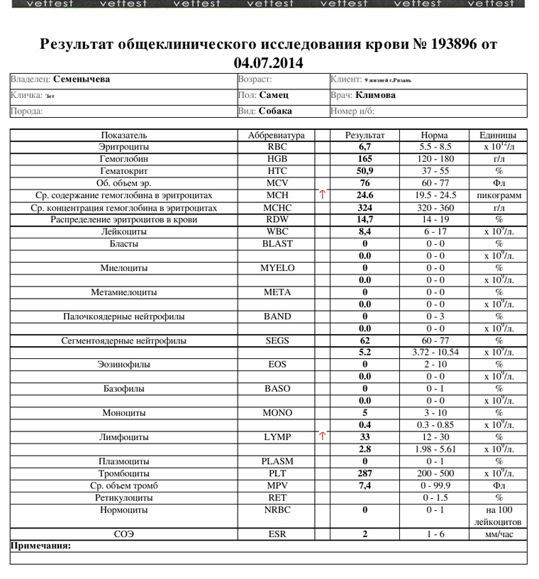 Палочкоядерные нейтрофилы 0 у женщины. Нейтрофилы общий анализ крови расшифровка. Нейтрофилы в анализе крови норма. ОАК сегментоядерные нейтрофилы норма. Общий анализ крови палочкоядерные норма.