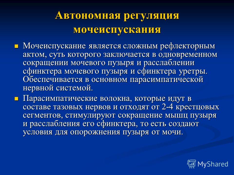 Схема регуляции мочеобразования