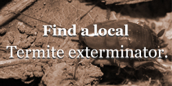 termite exterminator