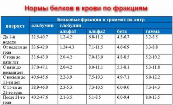 Норма белков в крови