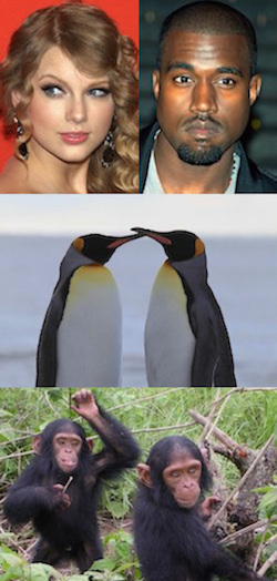 Species comparisons