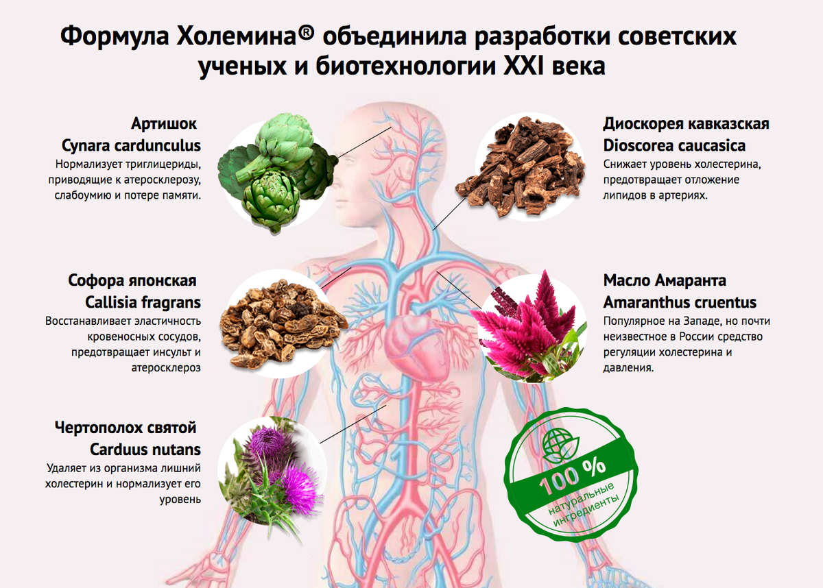 Влияет ли краска для волос на сосуды головного мозга