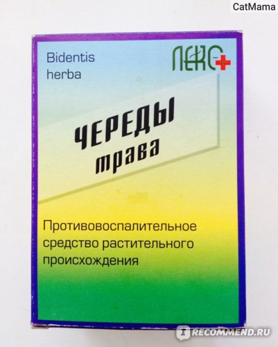Лекарственные травы Череда фото