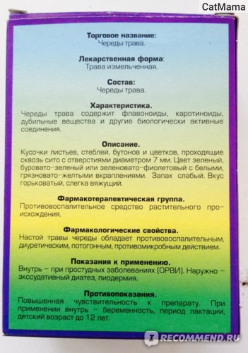 Лекарственные травы Череда фото