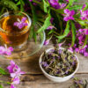 Иван-чай: правила сбора, заготовки и приготовления напитка из лекарственного растения