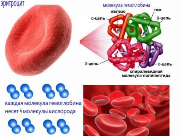 О чем говорит уровень гемоглобина 100 г/л, установленные нормы и отклонения