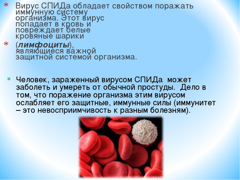 Вич человек долго живет. ВИЧ поражает клетки иммунной системы. Вирус СПИДА. Поражаемые структуры СПИДА. Вирус ВИЧ поражает клетки.