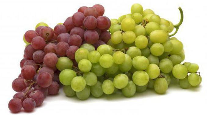 сколько калорий в 100 г винограда
