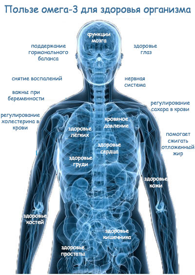 Для чего полезны омега-3