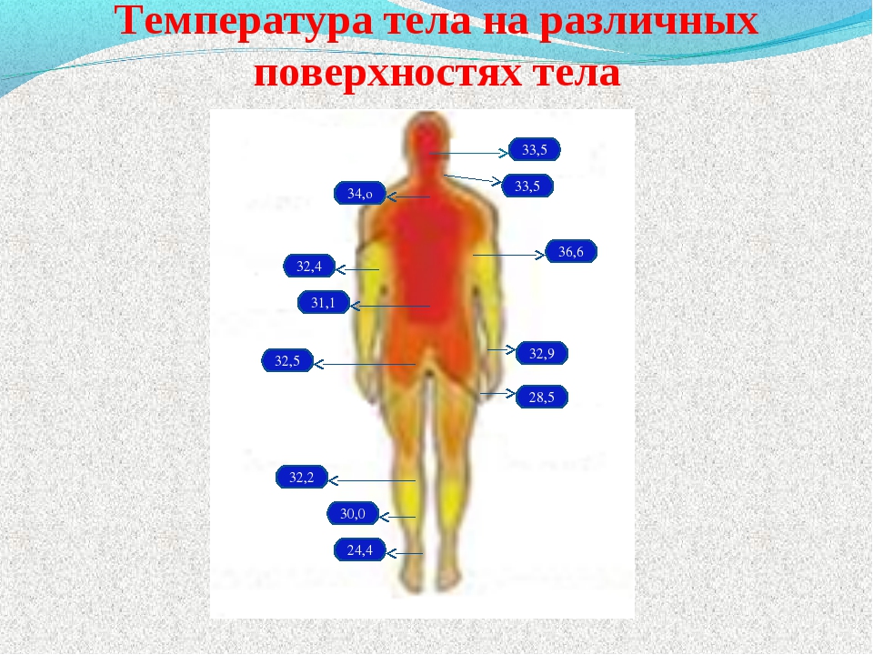 Температура вашего тела. Распределение температуры тела человека. Температура в разных частях тела. Температура тела на различных поверхностях тела. Нормальная температура разных частей тела человека.
