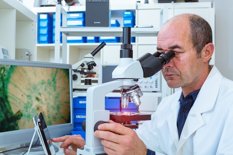 scientist examines biopsy samples