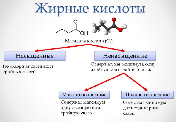 Омега 3 жирные кислоты для детей, женщин и мужчин. В каких продуктах содержатся и как правильно принимать