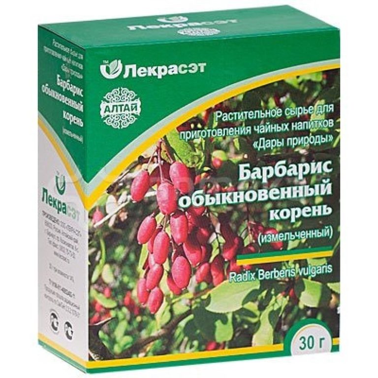 Полезные свойства барбариса. Барбарис обыкновенный кора. Корень барбариса. Корни барбариса лечебные. Экстракт барбариса.