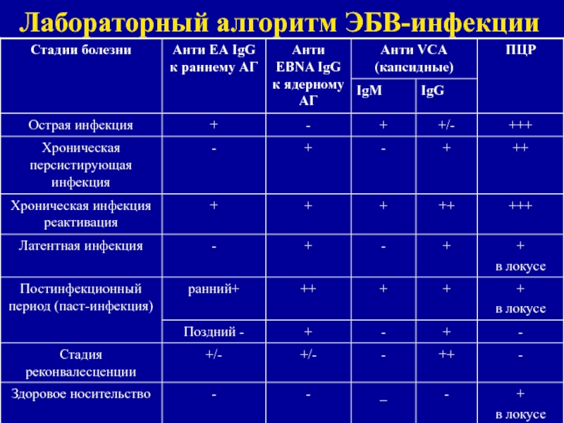 Эпштейн барра температура