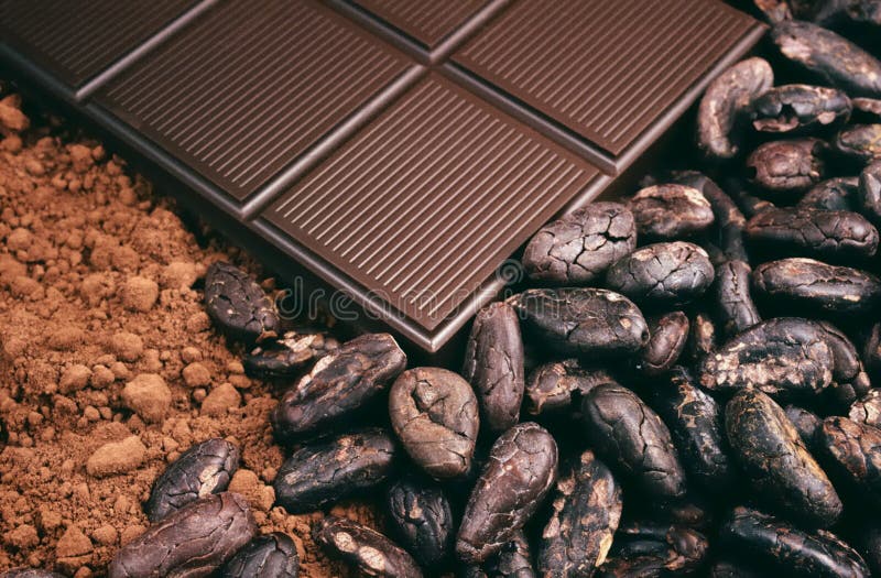 Bar of chocolate, cocoa beans , cocoa powder. Detail stock image