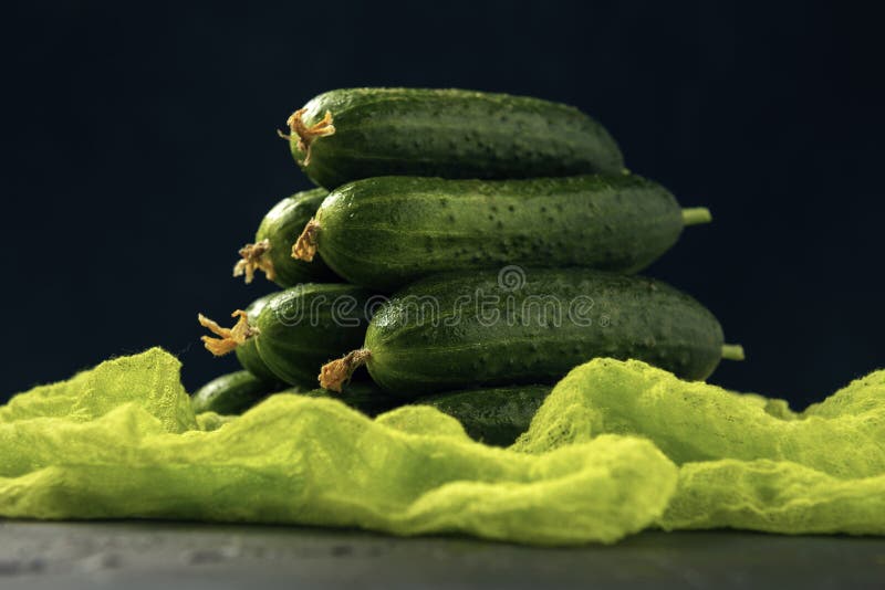 A bunch of green ripe cucumber fruits on the dark background. Vegetable pyramid composition on table. A bunch of green ripe cucumber fruits on the dark royalty free stock images