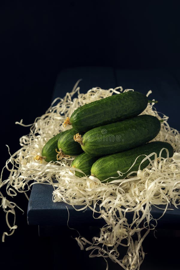 A bunch of green ripe cucumber fruits on wooden shavings at the edge of the table. Vegetable pyramid composition on the black. A bunch of green ripe cucumber royalty free stock photos