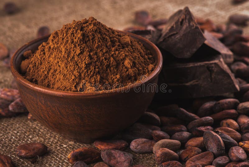 Cocoa powder in a brown ceramic bowl, raw cocoa beans in the pee. Crude dark cocoa powder in a brown ceramic bowl, raw cocoa beans in the peel and raw chocolate royalty free stock image