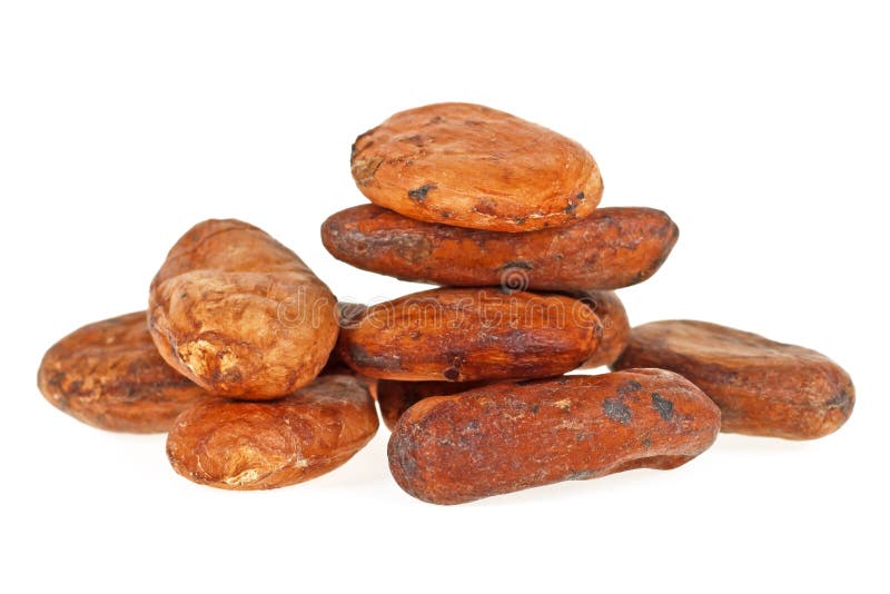 Heap of raw cocoa beans isolated on white background. Heap of raw cocoa beans isolated on a white background royalty free stock images