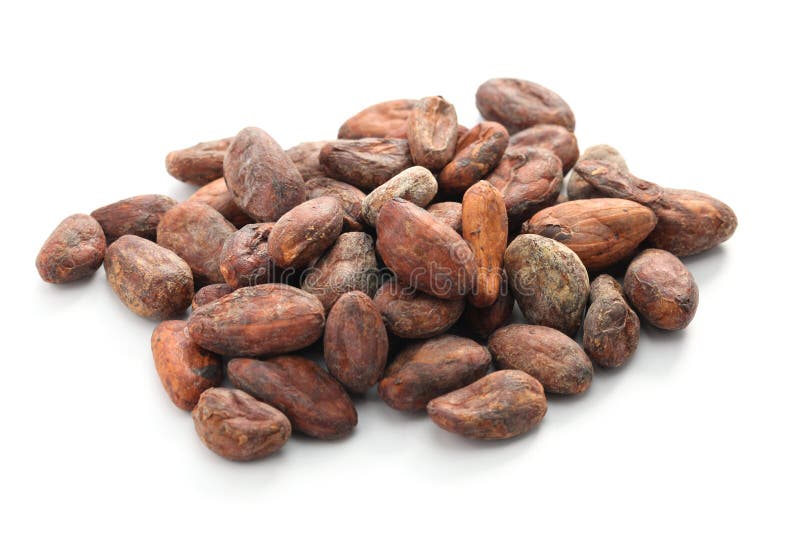 Raw cacao cocoa beans. On white background stock photos