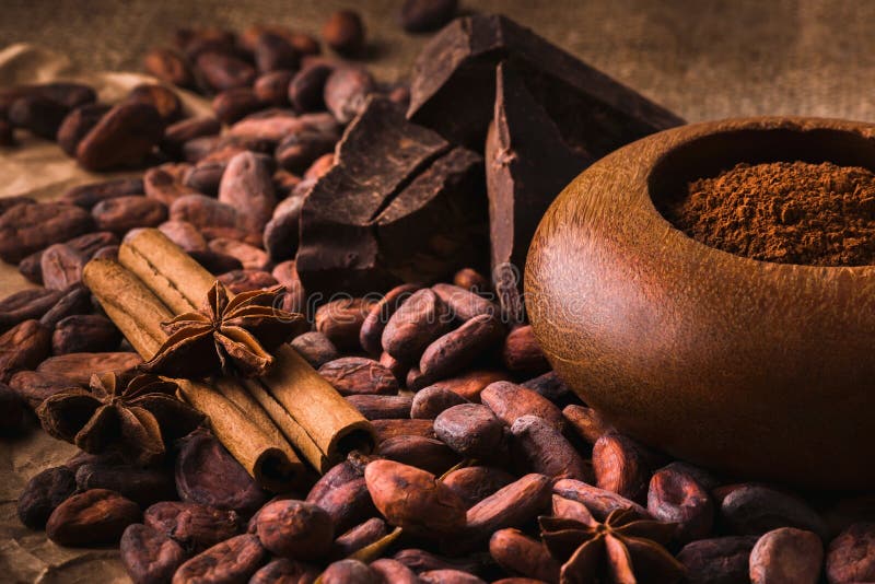Raw cocoa beans, Delicious black chocolate, cinnamon sticks, sta. Raw cocoa beans, raw dark homemade chocolate for raw foodists, cinnamon sticks, star anise and royalty free stock photography