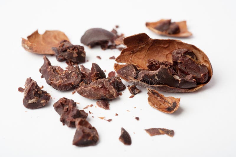 Raw cocoa beans. Studio shot. White background stock image