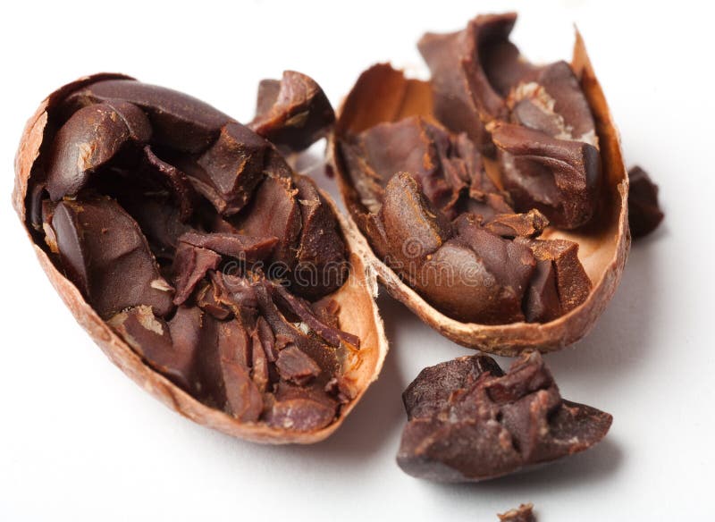 Raw cocoa beans. Studio shot. White background stock photography