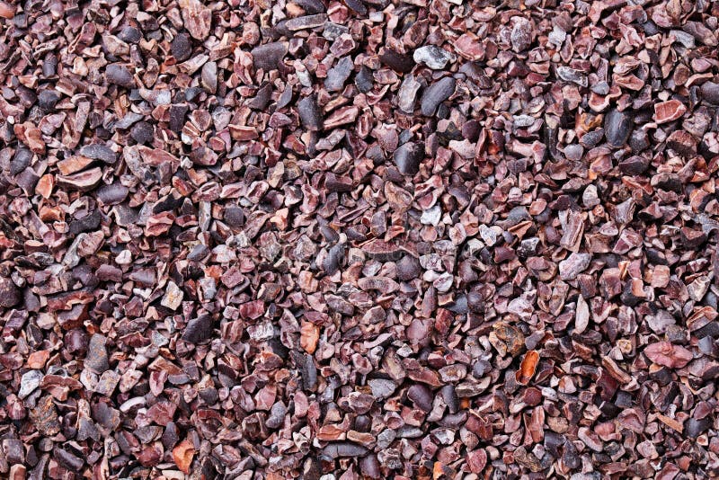 Raw crushed cocoa beans, nibs background Copy space Top view.  stock photos