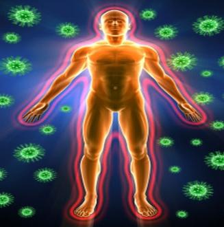 how to increase immunity folk remedies