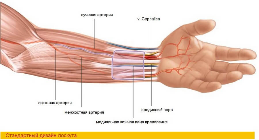 Как выглядит изображение правой руки