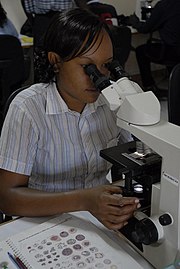 Malaria microscopy.jpg