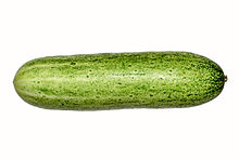Cucumber BNC.jpg