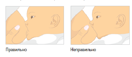Правильное и неправильное прикладывание малыша к груди