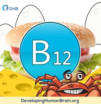 Vitamin B12 for brain and memory
