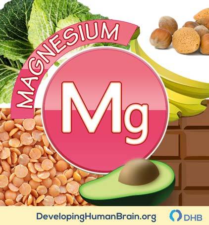 magnesium for brain