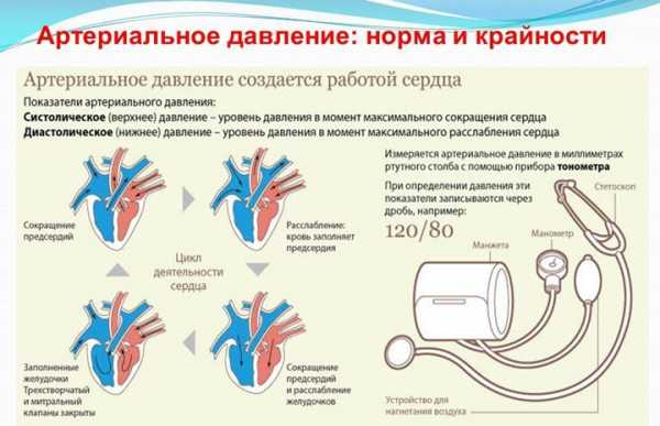 Кровяное давление картинки