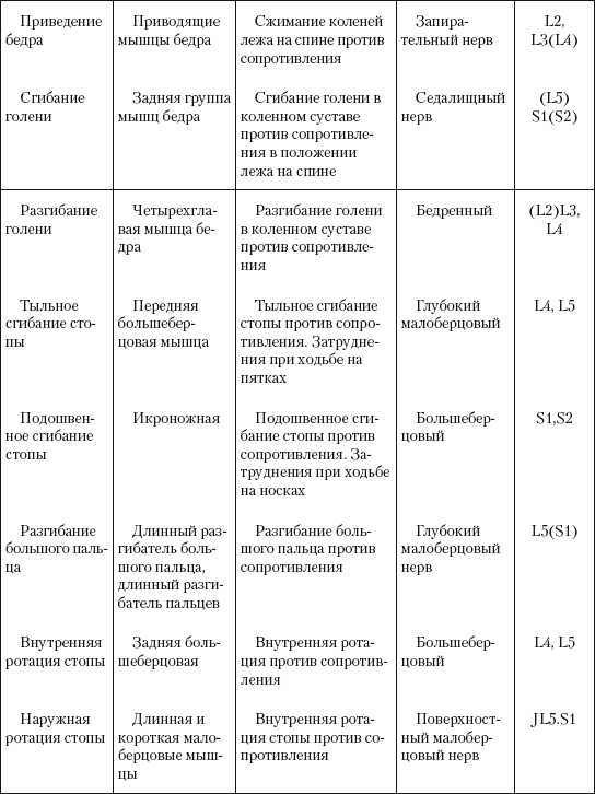 Седалищный нерв где находится фото у мужчин с какой стороны