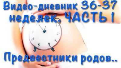 36 недель предвестники