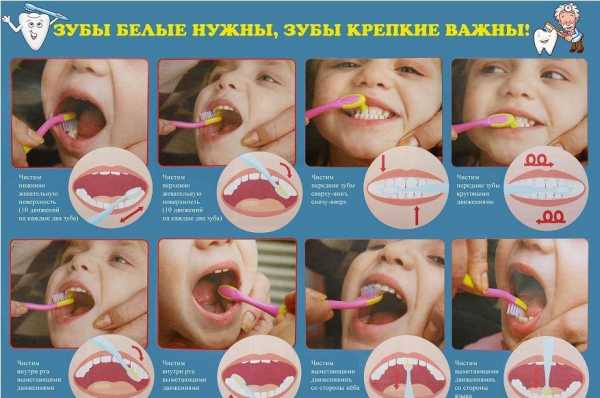 Правила чистки зубов в картинках