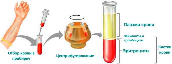 Гемоглобин в стуле fob gold ng