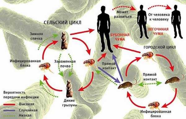 Прохождение от гидеона чума