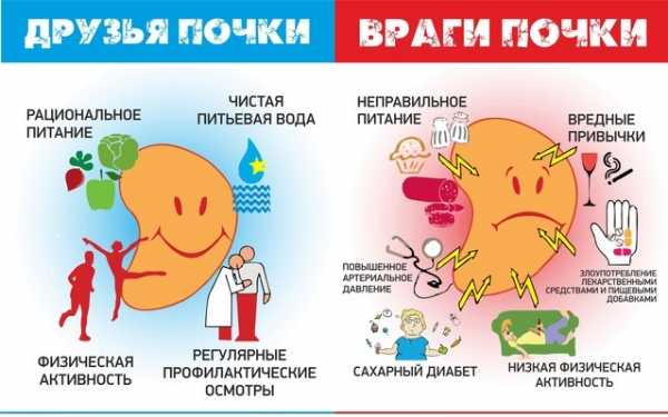 Седьмой стол при заболеваниях почек