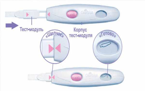 Clearblue инструкция с картинками