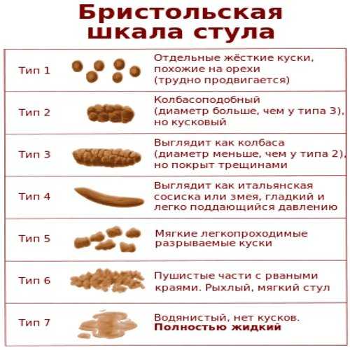 Акт дефекации схема