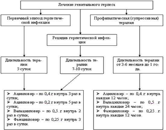 Стадии генитального герпеса фото