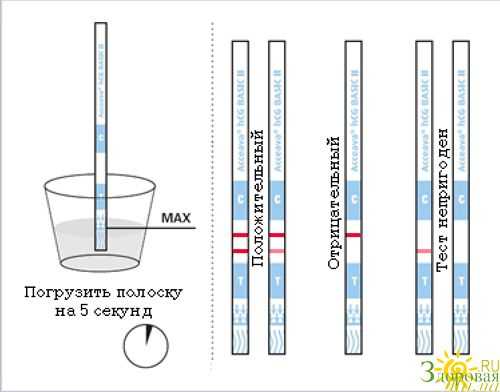 Как правильно пользоваться тестом на беременность в картинках
