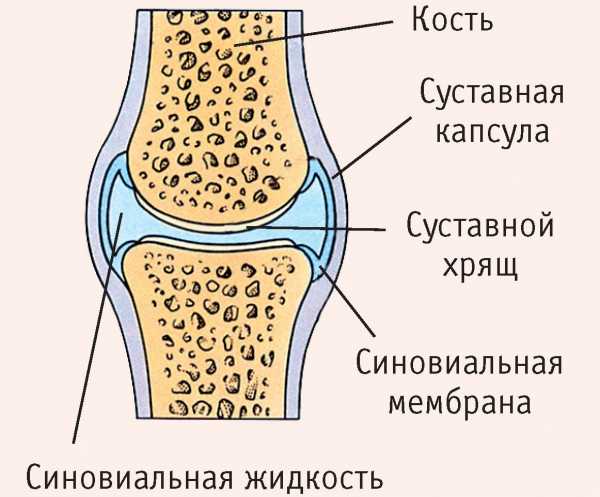 Жидкость в колене симптомы фото