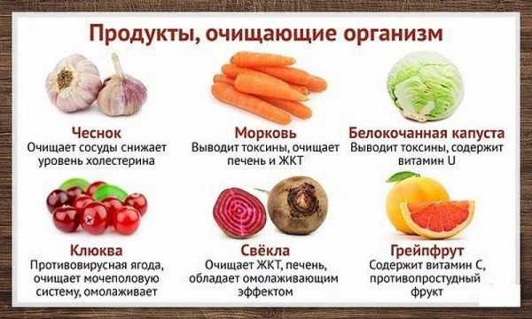 Как очистить кровь от токсинов в домашних условиях – 10 методов, как ...