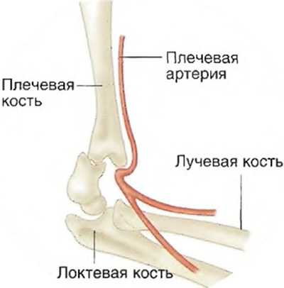 Перелом локтевого сустава карта вызова