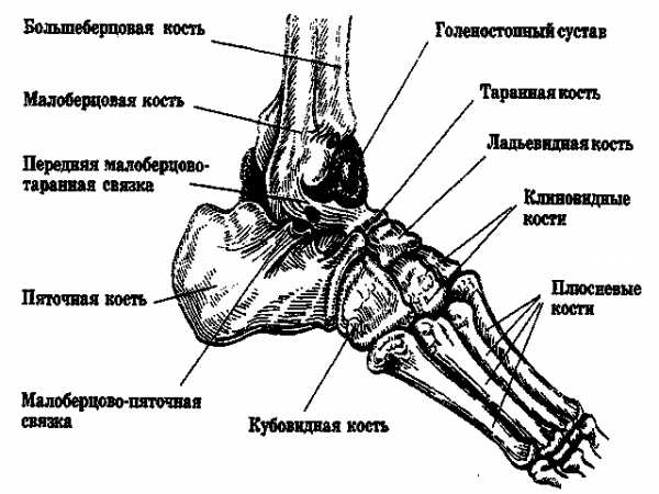 Карта вызова перелом стопы костей